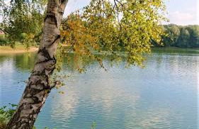 Ferienhaus im Seedorf im Münsterland Warendorf - Photo 32