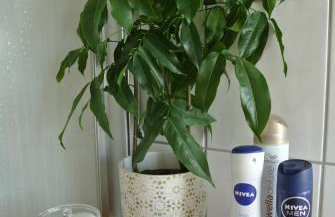 Rheinau Apartment - Foto 16