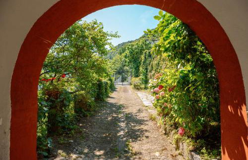 R Glicine House - Foto 21