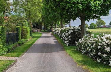 Natures-Rest Wielen - Foto 4