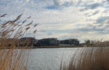 Luna Baltica - Photo 11