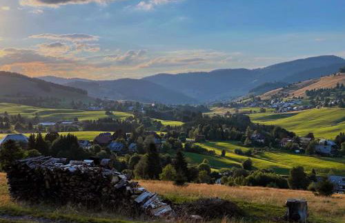 Schwarzwaldbauernhaus Bernau - Foto 17