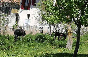 Casa Vacanza Pappacoda - Foto 32