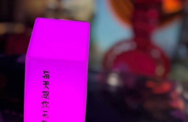 Yiwu Manting City Hotel - Foto 35