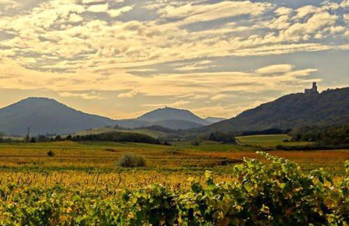 Le p'tit coin de chez nous - Foto 75