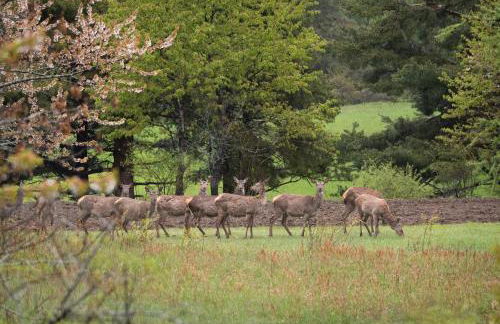 Casa Vacanze Grand-Haury da Andrea - Foto 34