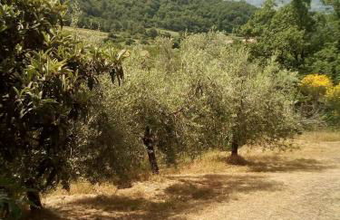 Casa Renacci - Foto 7