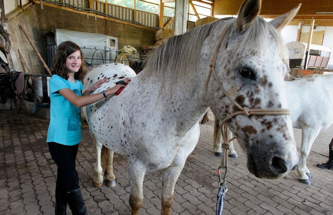 Nengshof - Haus Königskerze - Photo 30