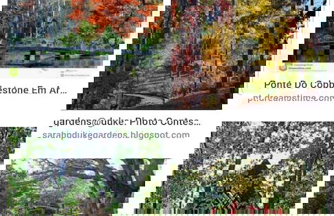 Canterbury Cabin - Foto 12