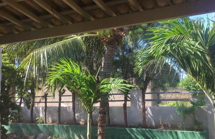 Casa operete - Foto 4