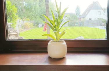 Studio X - 2 Zimmer Ferienwohnung in idyllischer und zentraler Lage - Foto 12