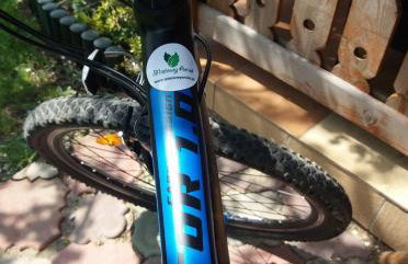 Miętowy Anioł - Foto 59