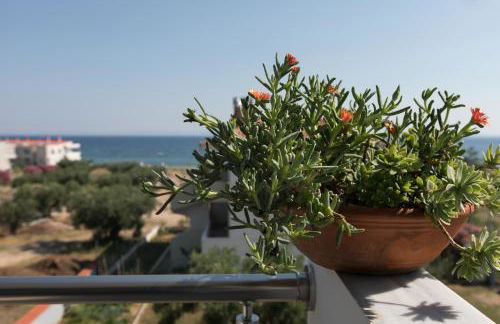 The House Of The Roses - Foto 14