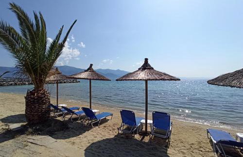 Λευκό γιασεμί - Νέες Παγασές Βόλος - Photo 22