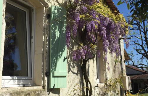 Le Mas des Papillons - Foto 21