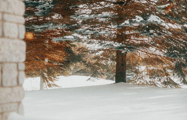 Horseshoe Valley Suites - The Glade - Foto 31