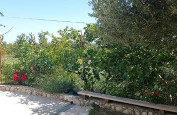 Apartman Tina 2 - Foto 10