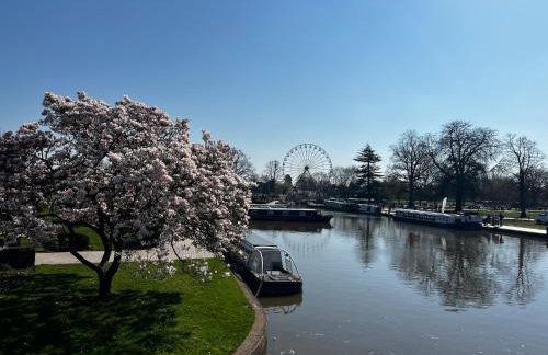 Enigma Lodge - Foto 41