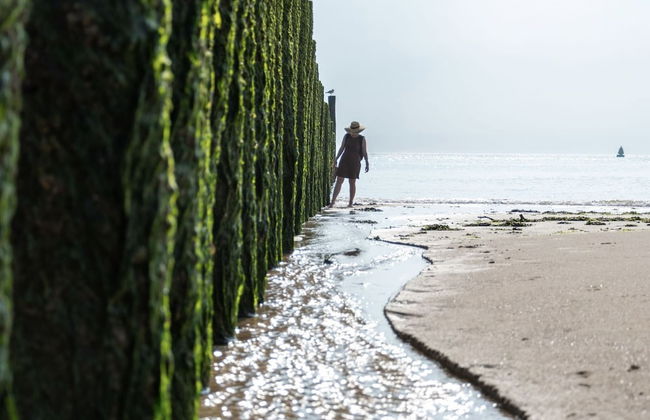 Comfortable Chalet With Microwave, on a Holiday Park 1 km. From the Beach - Photo 44