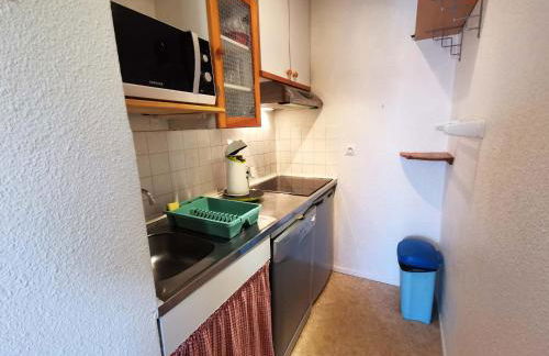 Pied de pistes 3 Pièces, 6 couchages aux Adrets-Prapoutel - FR-1-771-77 - Foto 8