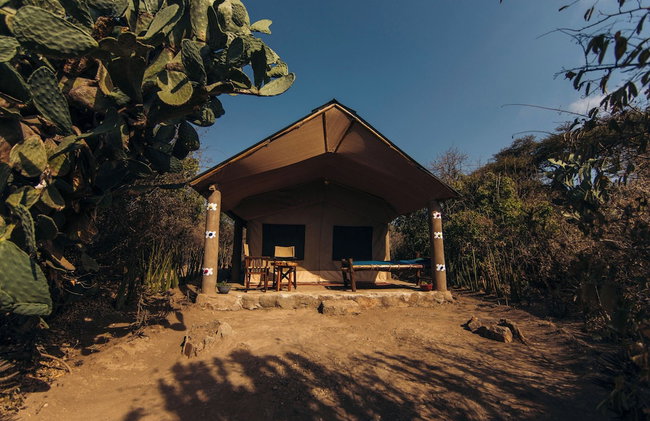 Tindiga Tented Camp - Foto 42