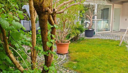 ZEN Loft - Küche - Terrasse - perfekte Anbindung - Foto 2, Garden