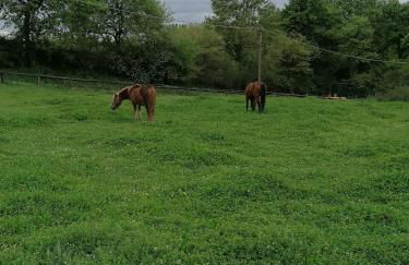 Le Vecchie Scuderie - Foto 11