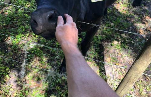 Peaceful Country Retreat - Foto 23