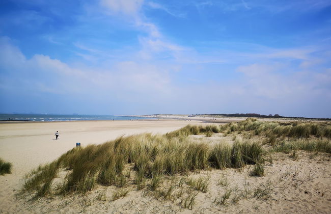 2 bedroom House in Schoondijke with garden and terrace - Photo 15