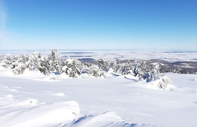 Fingerhut Comfortable Holiday Residence - Foto 14