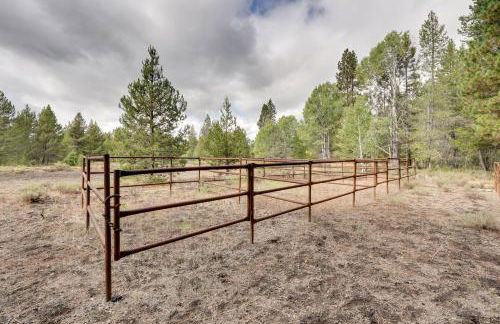 Pet-Friendly House with Deck Near Crater Lake! - Foto 84