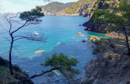 La notte sull'isola - Montaretto - tra il cielo e il mare - Foto 32