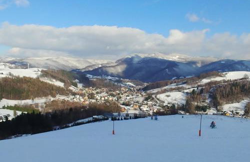 Chwile w Starym Sączu, sauna i beczka - Foto 27