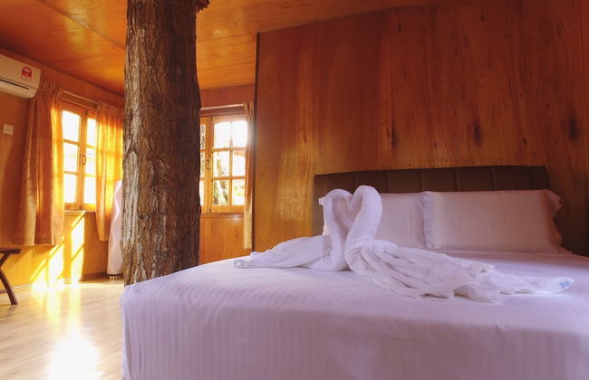 Borneo Tree House - Foto 9