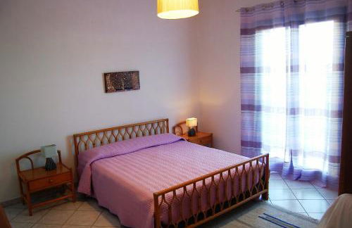 Hibiscus Rosso - Foto 7