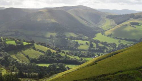 Luxury Lodge In The Treetops - Foto 2