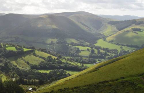 Luxury Lodge In The Treetops - Foto 2