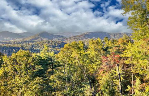 Pinnacle Place - The Height of Mountain Living - Photo 71