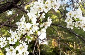 Sunrise View House Halkidiki! - Foto 16