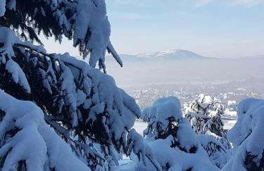 Świerkowy Zakątek u Bacy - Foto 18