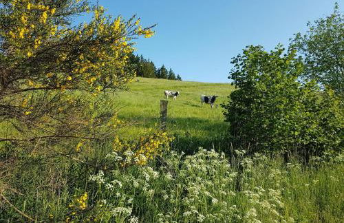 Ruhlen: Schneifel Escape - Foto 53