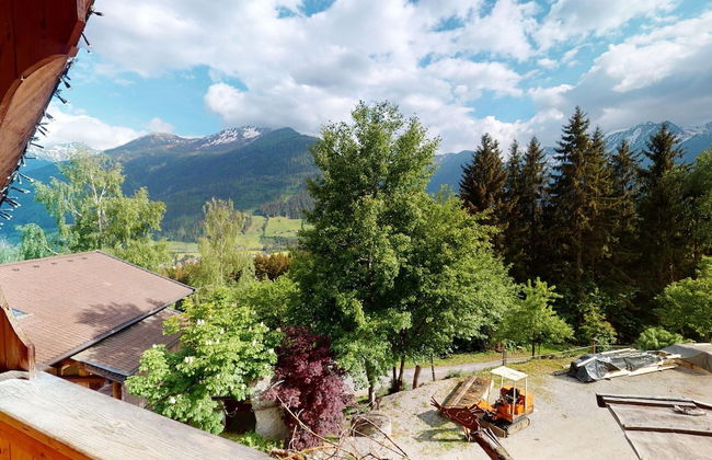 Chalet in Wildkogel Near Ski Slopes - Foto 22