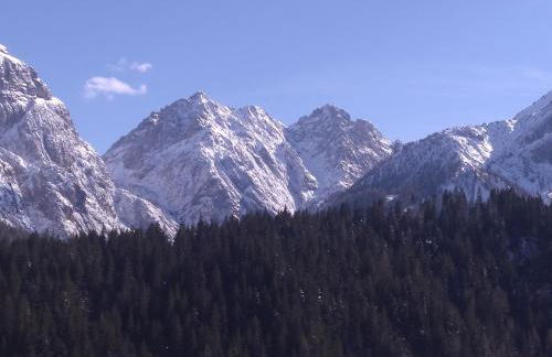 Plodn House - Photo 22