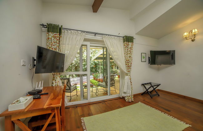 Rayne Forest - Foto 14