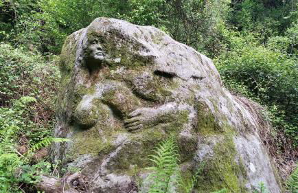 Il Debbio - Photo 74