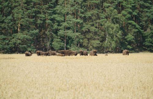 200 Years of History - Foto 28