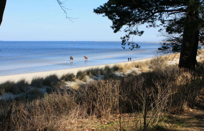 Holiday Home Strandbusch - Foto 17