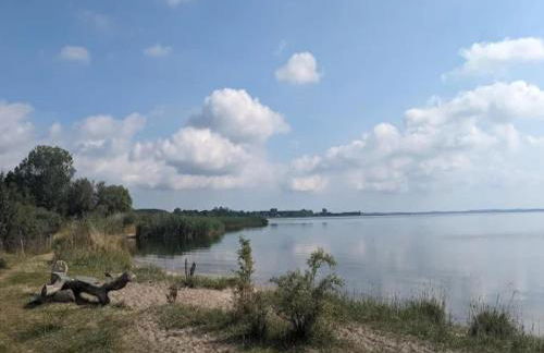 Wohnung in Lütow nahe Ostseestrand - Foto 31
