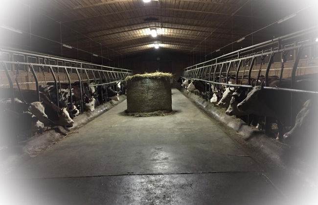 Agriturismo La Grange - Foto 26