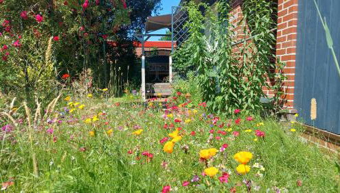 Ferienwohnung Am Freitagsbach - Foto 5